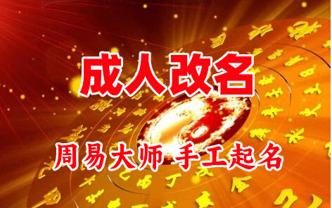 蠡县成人改名-找大师一对一改名先分析后改名